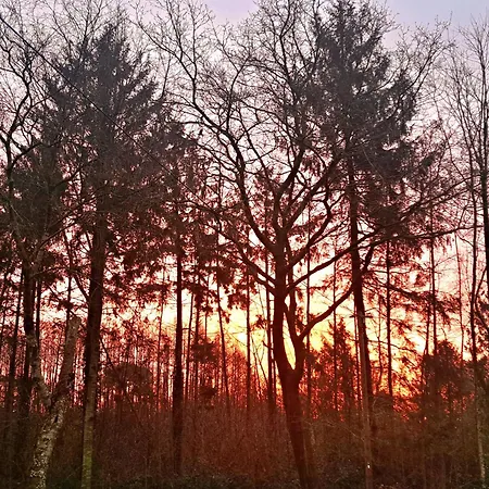 Zwischen Moor & アパート *