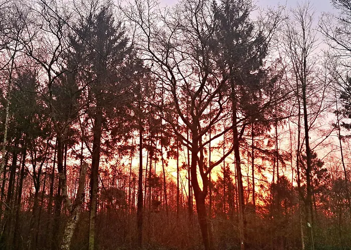 Zwischen Moor & Lägenhet *